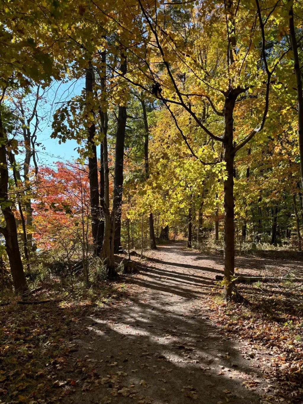 Celebrating Generosity: Joy of Fall Hike Success!