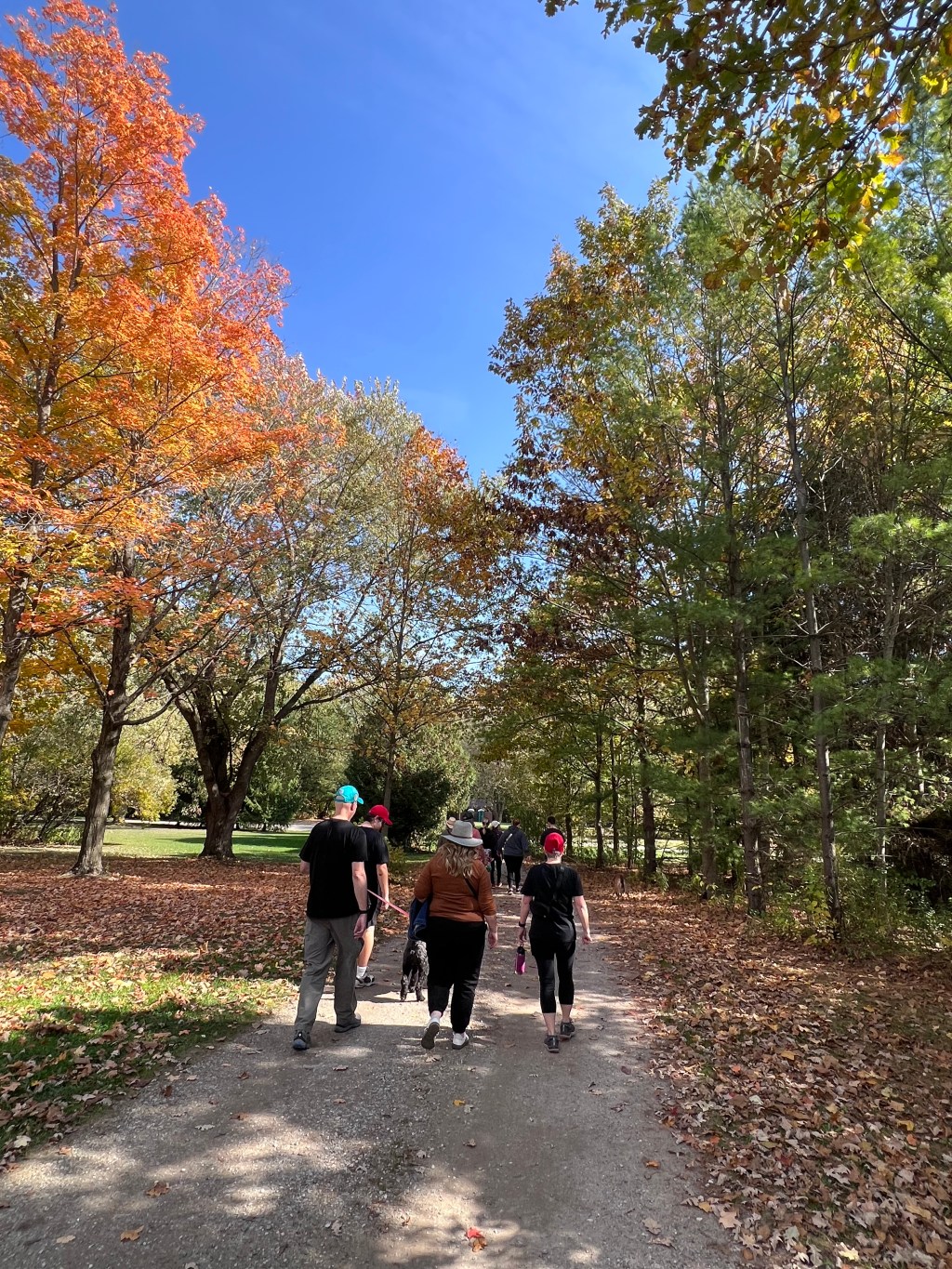 A Beautiful Hike: Joy of Fall Event!
